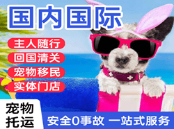 北海机场物流国际宠物托运 【国